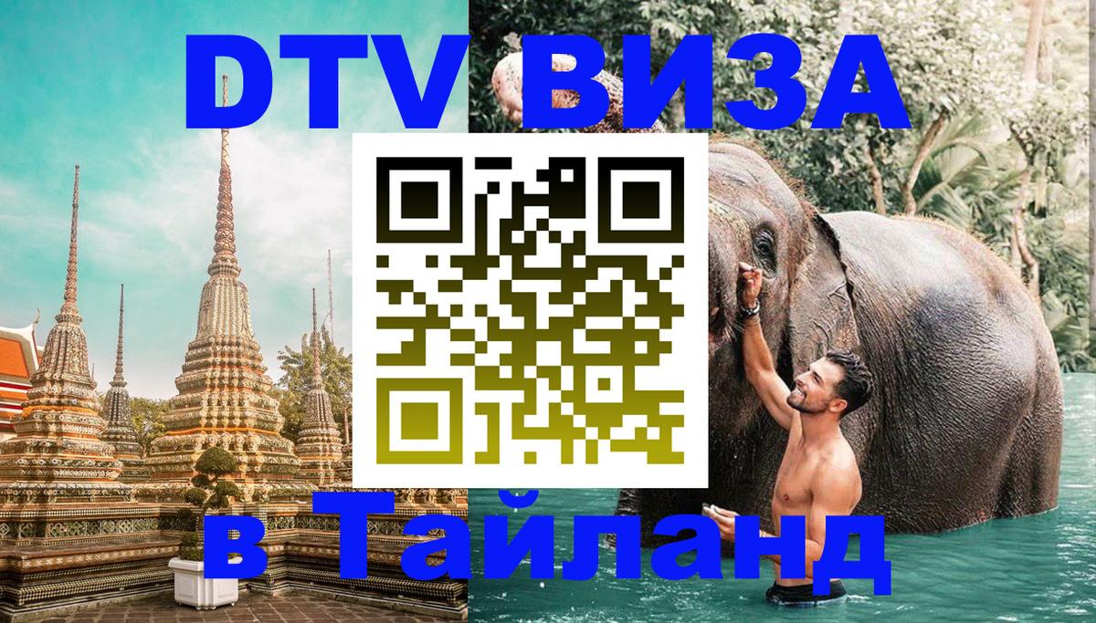 Сколько стоит DTV виза — актуальные цены, оформление даже без документов - Тхимпху  19.11.2025 